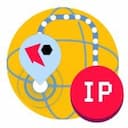 Global IP Checker